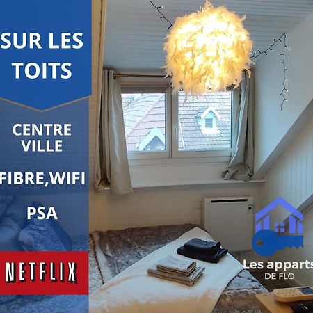 Sur Les Toits, Studio Centre-Ville, Wifi Netflix Montbéliard Extérieur photo