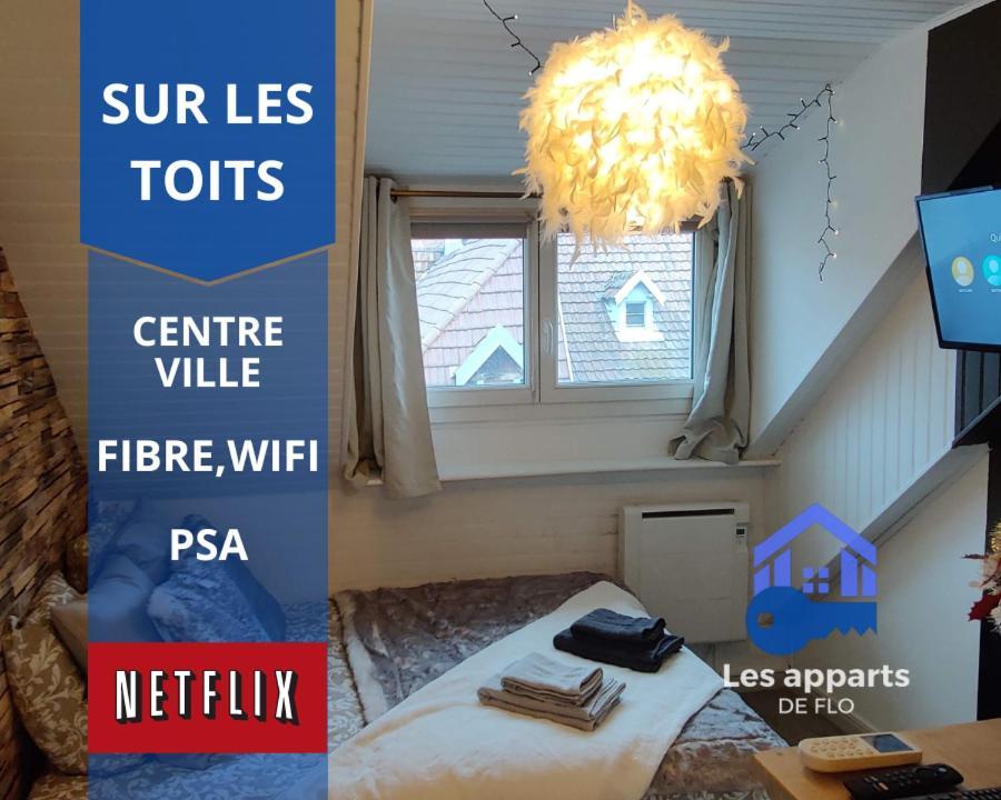 Sur Les Toits, Studio Centre-Ville, Wifi Netflix Montbéliard Extérieur photo